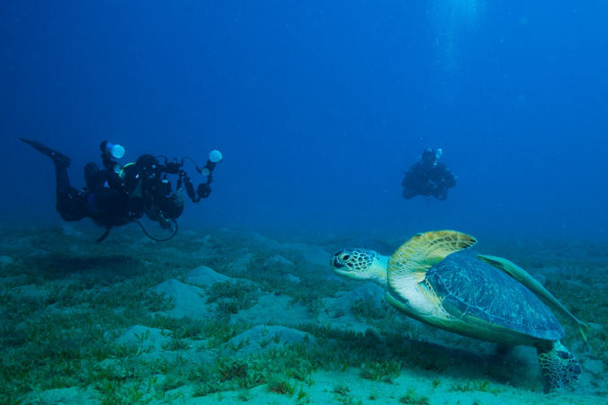 Scuba Awards 2020 - 2ème prix - Voyage à El Qseir en Égypte à l’hôtel Utopia Beach Club