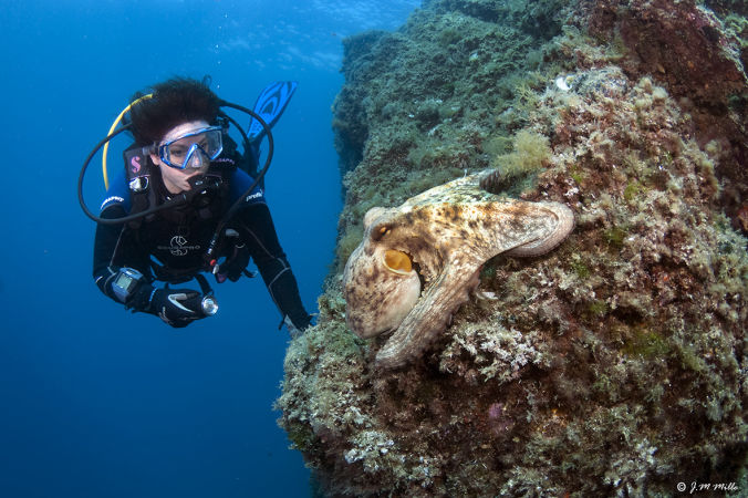 Scuba Awards 2020 - 3ème prix - Voyage à Cala Joncols sur la Costa Brava en Espagne